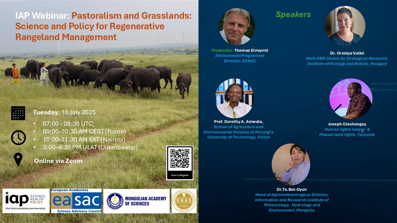 Grassland